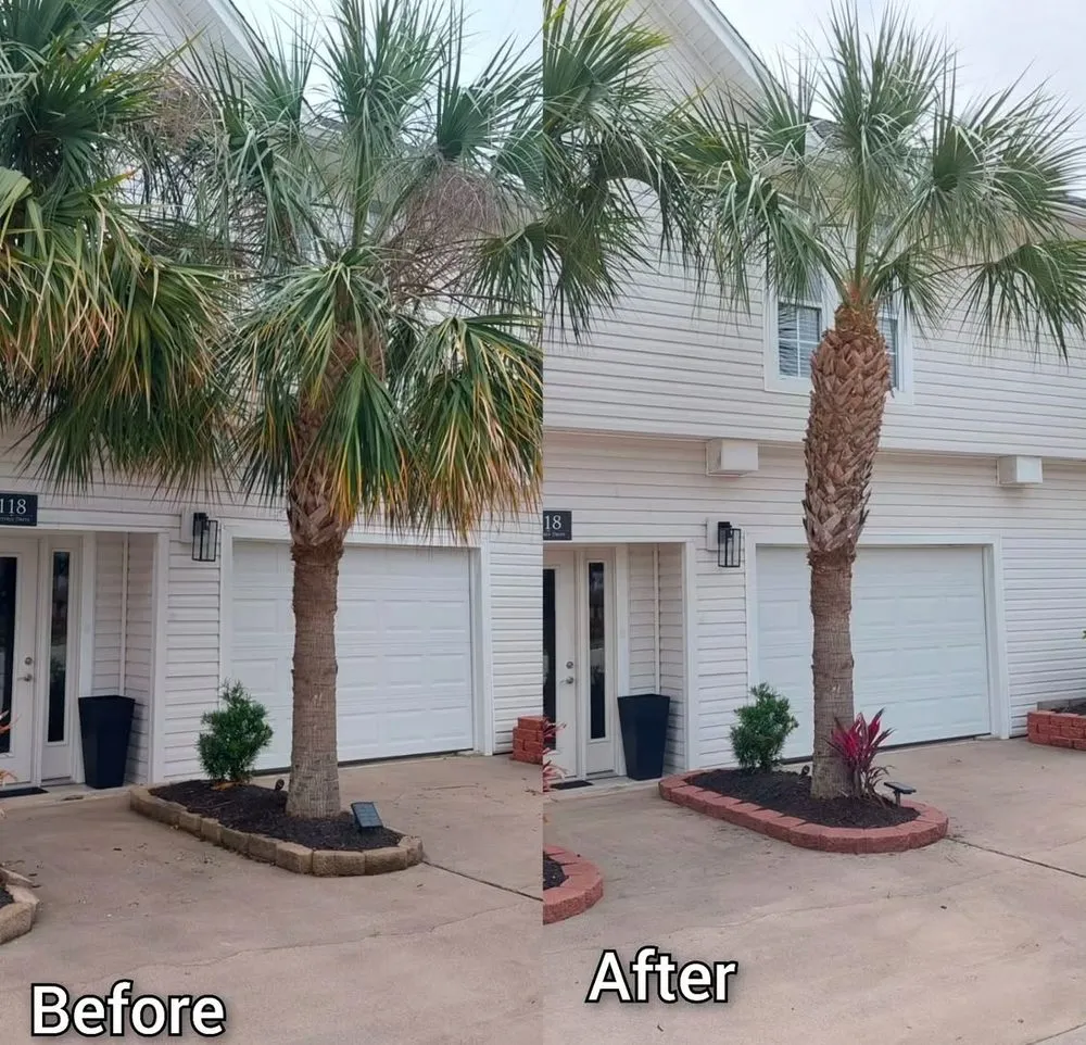 Reliable yard maintenance near you in Houston, TX by O Scapes