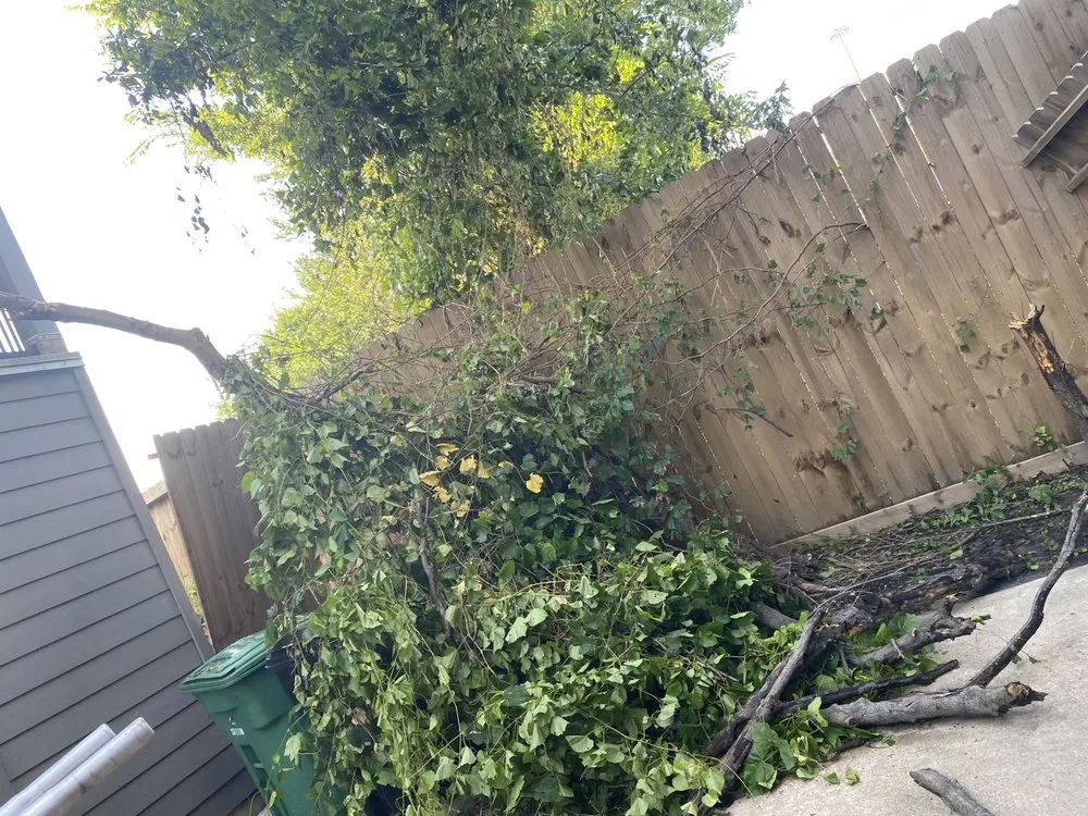 Affordable garden landscaping for residential properties across Houston, TX - O Scapes