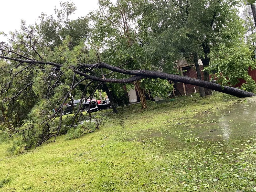 Reliable residential landscaping in Houston, TX by O Scapes