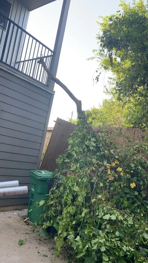 Local yard maintenance in Houston, TX - O Scapes