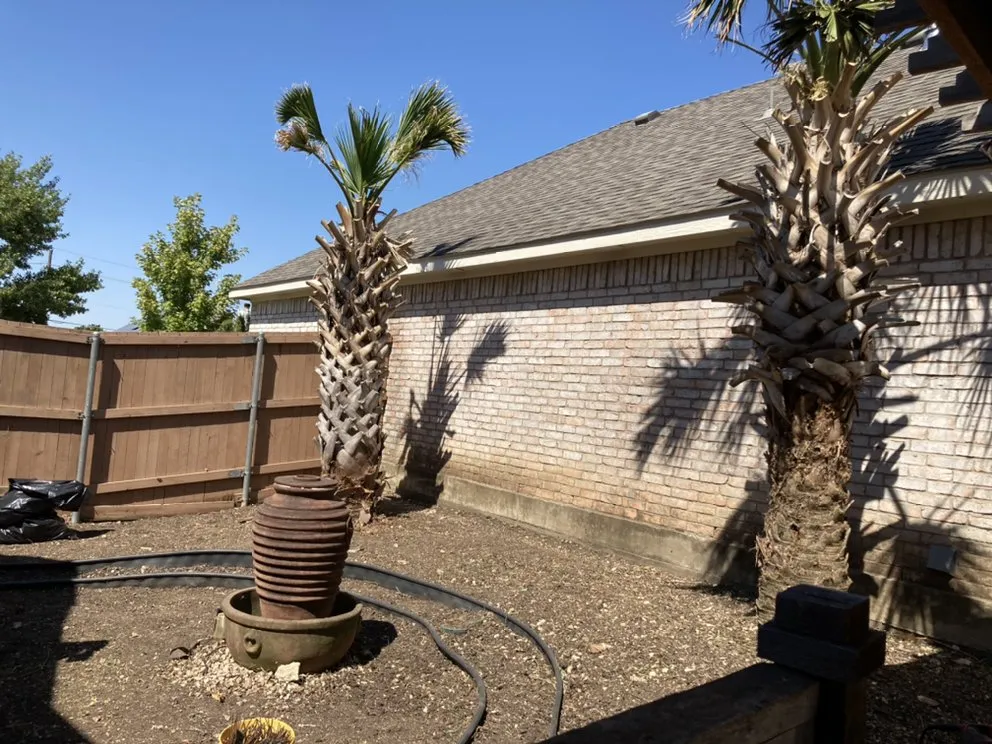 Local lawn mowing service experts serving Mesquite, TX - OAEE Lawn Care