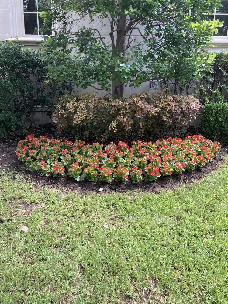Professional garden landscaping for residential properties in Mesquite, TX by OAEE Lawn Care