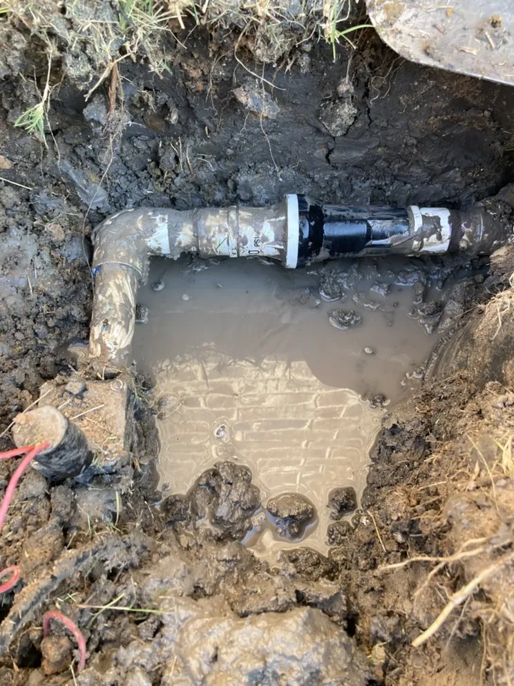 Affordable landscaping services experts serving Mesquite, TX - OAEE Lawn Care