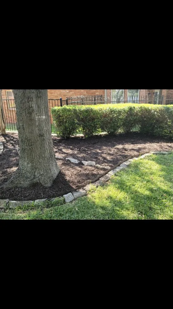 Top-rated yard cleanup service experts serving Mesquite, TX - OAEE Lawn Care