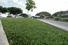 Affordable landscape design in Kailua, HI - Oahu Artificial Grass