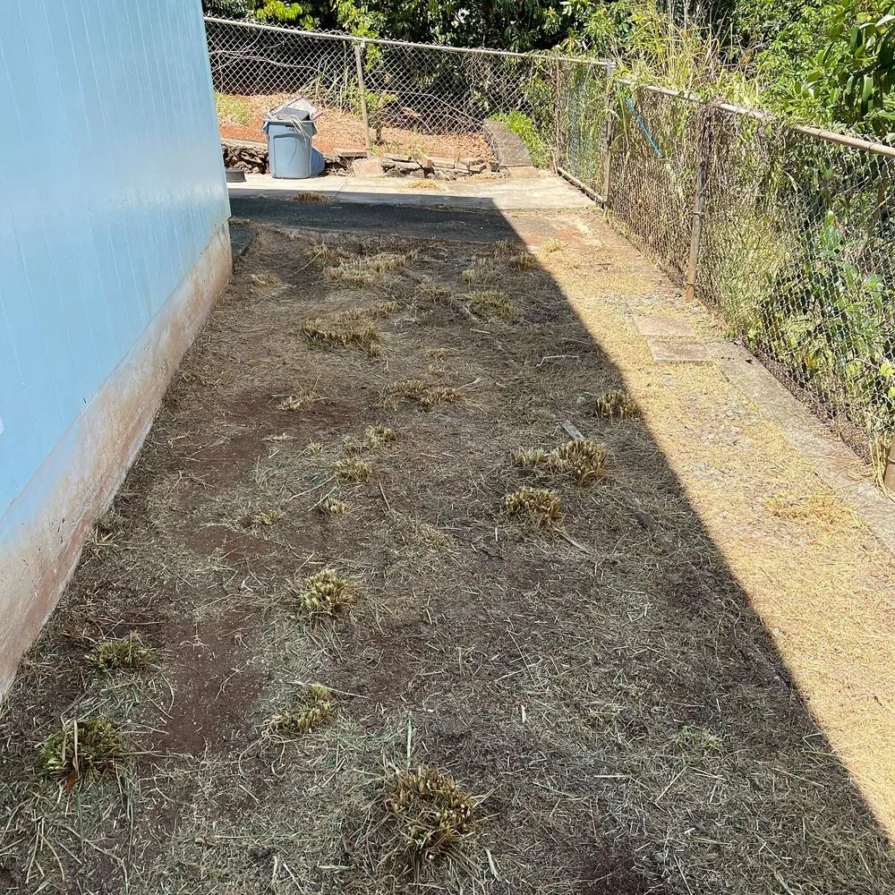 Affordable yard maintenance in Kapolei, HI by Oahu Complete Yard Service