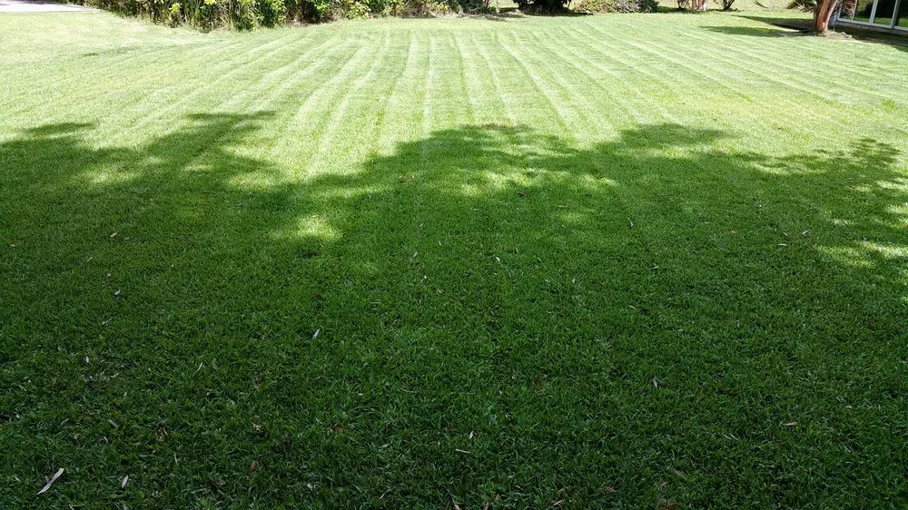 Expert landscaping services in Kapolei, HI - Oahu Complete Yard Service