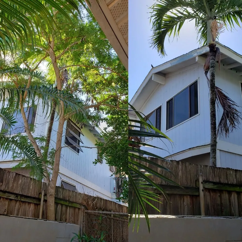 Professional lawn care service with custom design in Kapolei, HI by Oahu Complete Yard Service