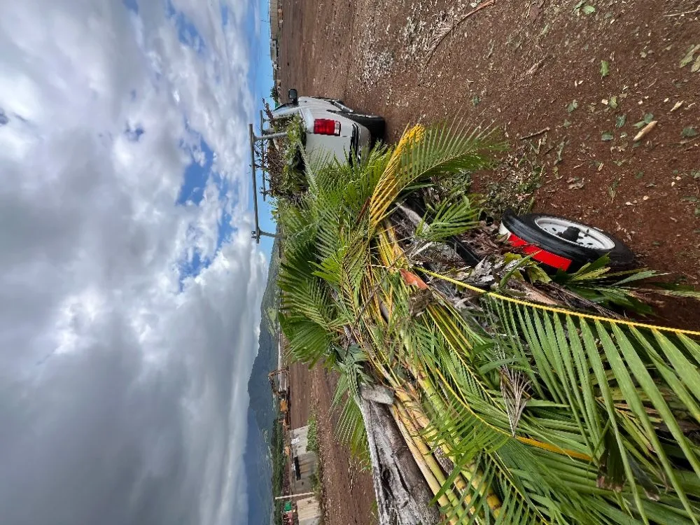 Trusted residential landscaping for beautiful yards across Kapolei, HI - Oahu Complete Yard Service