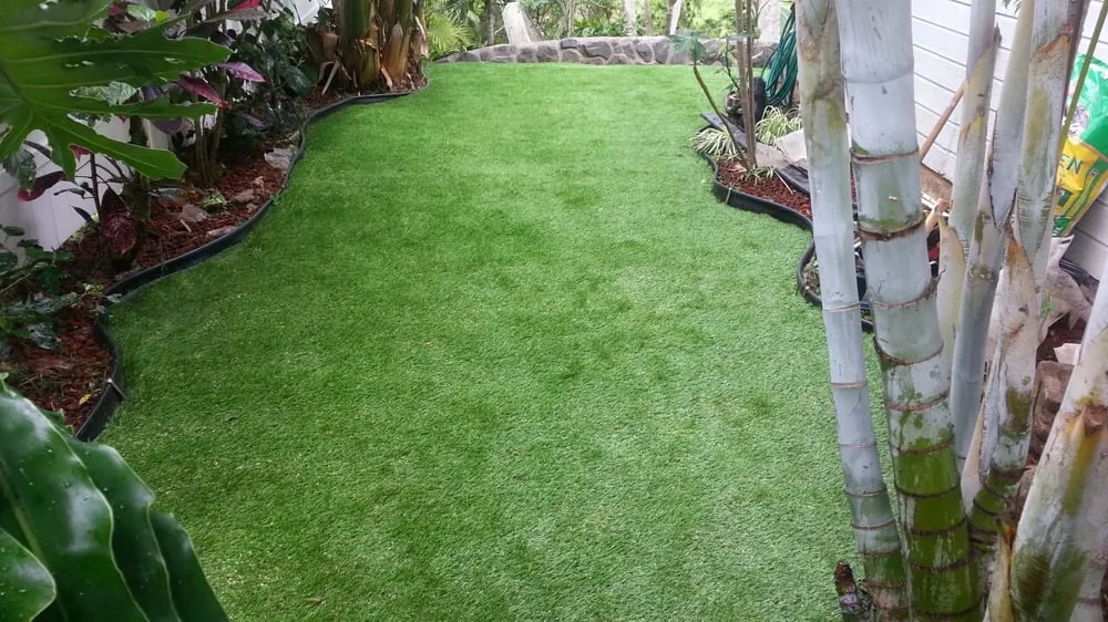 Top-rated yard cleanup service in Waimanalo, HI by Oahu Grass Company