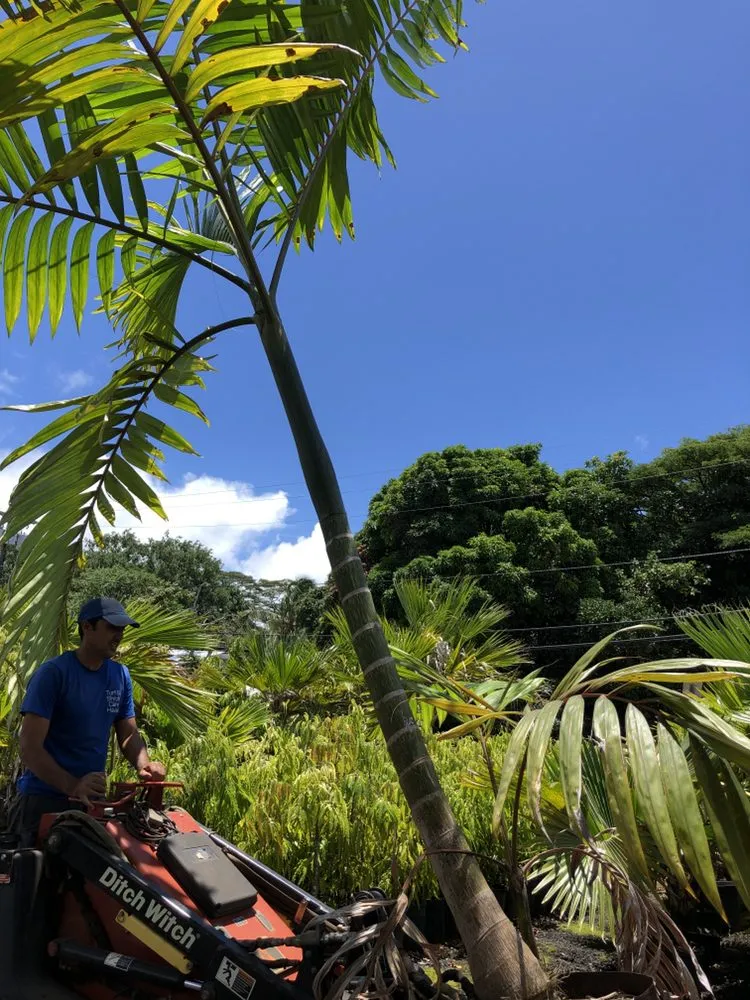 Expert yard cleanup service in Honolulu, HI - Oahu Irrigation & Design