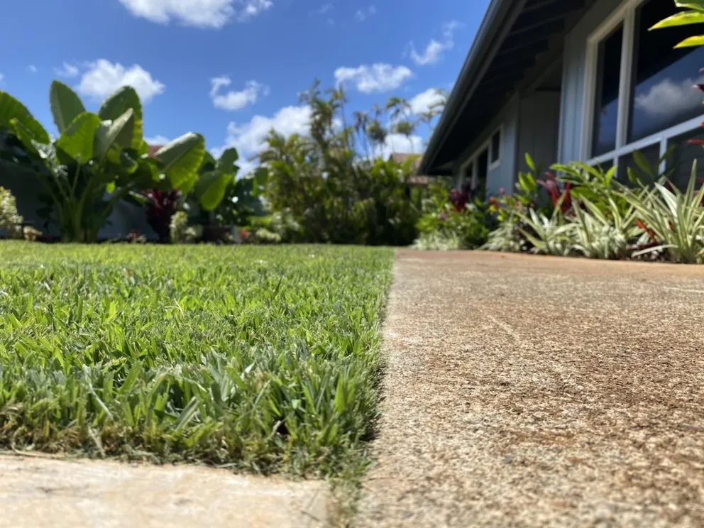 Top-rated residential landscaping for beautiful yards in Honolulu, HI by Oahu Irrigation & Design
