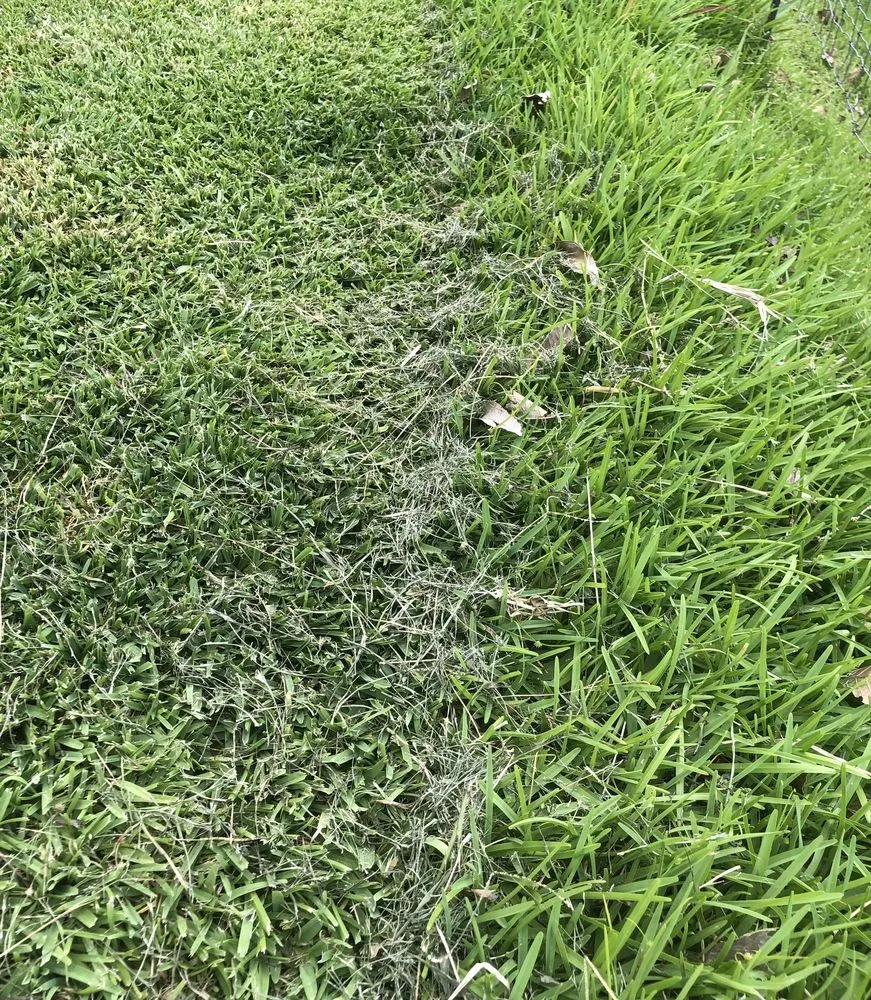 Trusted outdoor landscaping in Wahiawa, HI - Oahu Lawn Service