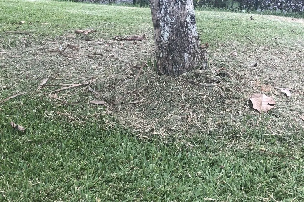 Affordable garden landscaping experts serving Wahiawa, HI - Oahu Lawn Service