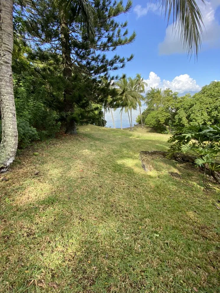 Affordable landscaping services in Wahiawa, HI - Oahu Lawn Service