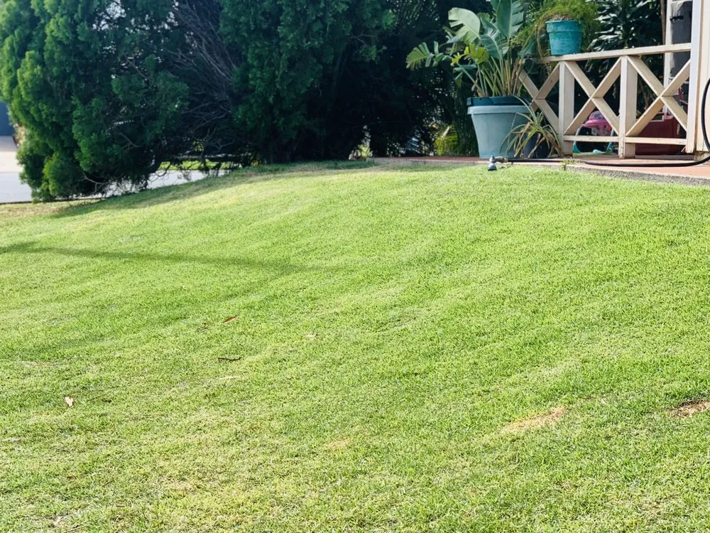 Top-rated yard cleanup service experts serving Wahiawa, HI - Oahu Lawn Service