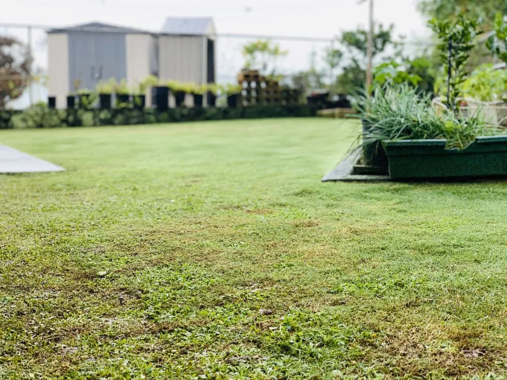 Top-rated residential landscaping in Wahiawa, HI - Oahu Lawn Service