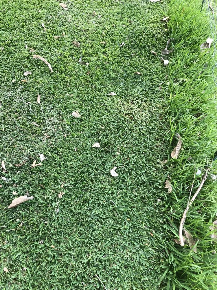 Top-rated lawn mowing service near you in Wahiawa, HI by Oahu Lawn Service