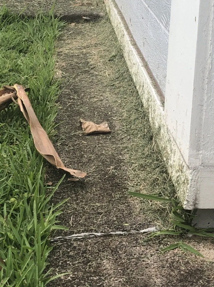 Top-rated garden landscaping for year-round maintenance in Wahiawa, HI by Oahu Lawn Service