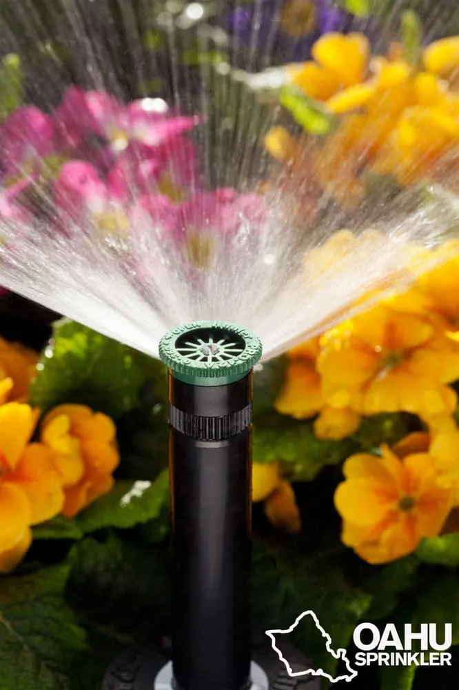 Expert yard maintenance with custom design across Pearl City, HI - Oahu Sprinkler