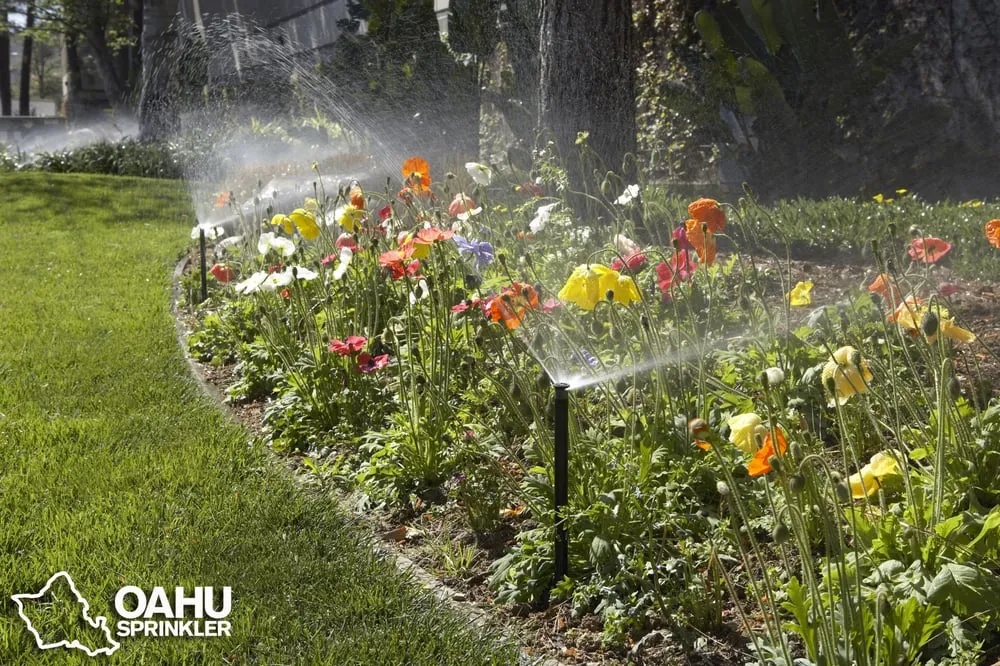 Reliable landscape design for beautiful yards in Pearl City, HI by Oahu Sprinkler