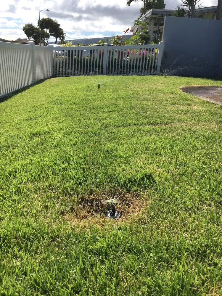 Trusted lawn care service for year-round maintenance across Pearl City, HI - Oahu Sprinkler