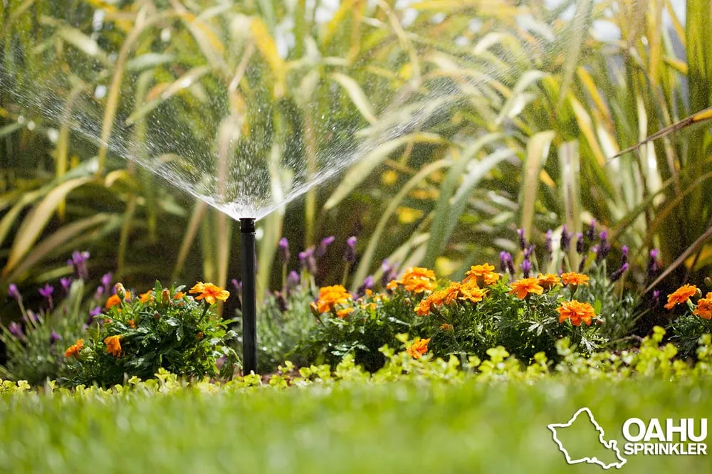 Professional landscape installation near you in Pearl City, HI by Oahu Sprinkler