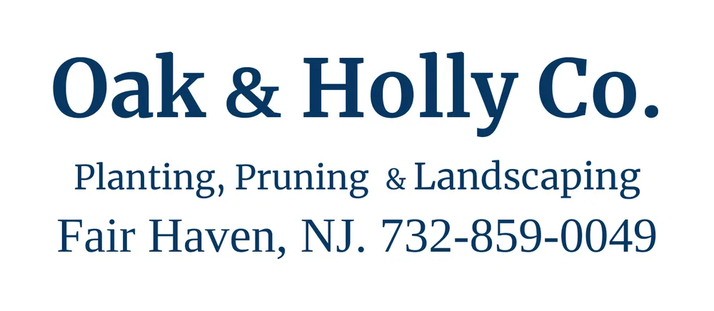 Professional yard cleanup service in FAIR HAVEN, NJ - Oak And Holly