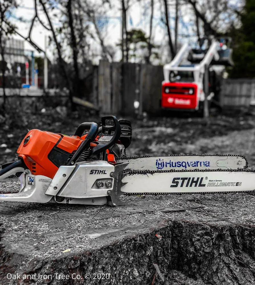 Expert yard cleanup service in Virginia Beach, VA - Oak and Iron Tree