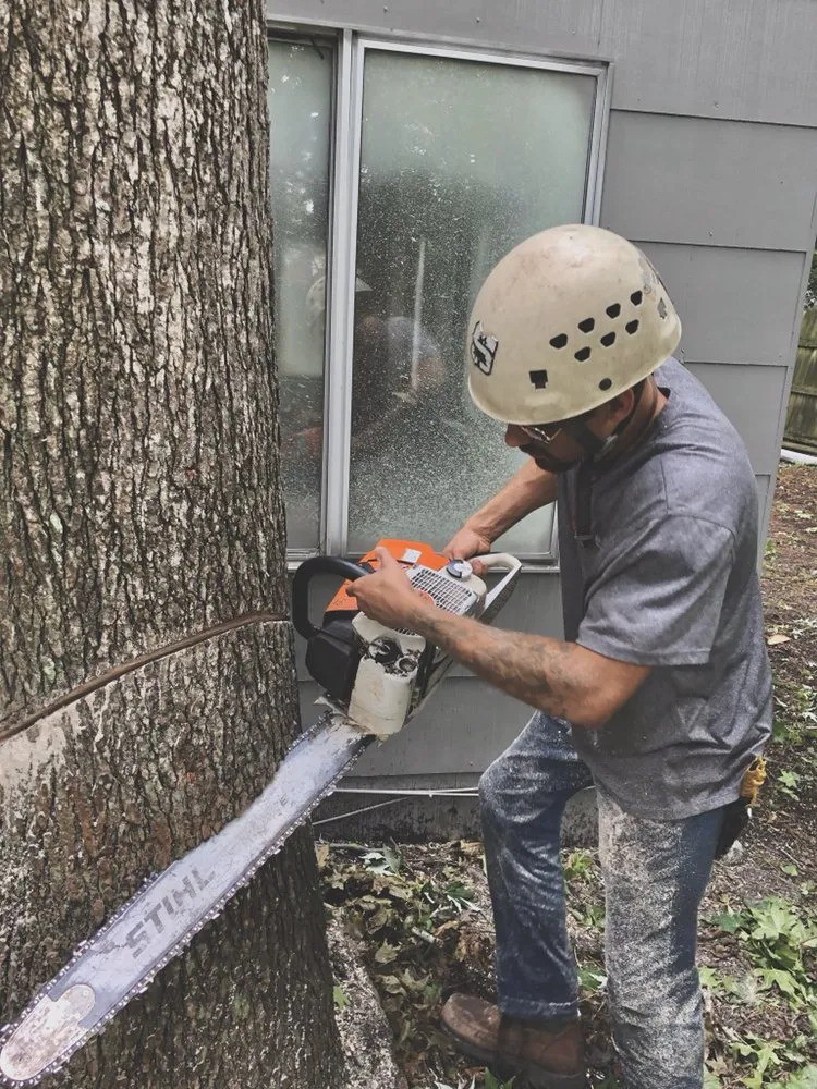 Reliable garden landscaping in Virginia Beach, VA - Oak and Iron Tree