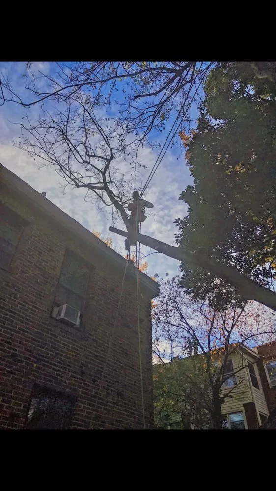 Affordable garden landscaping for homes in Virginia Beach, VA by Oak and Iron Tree