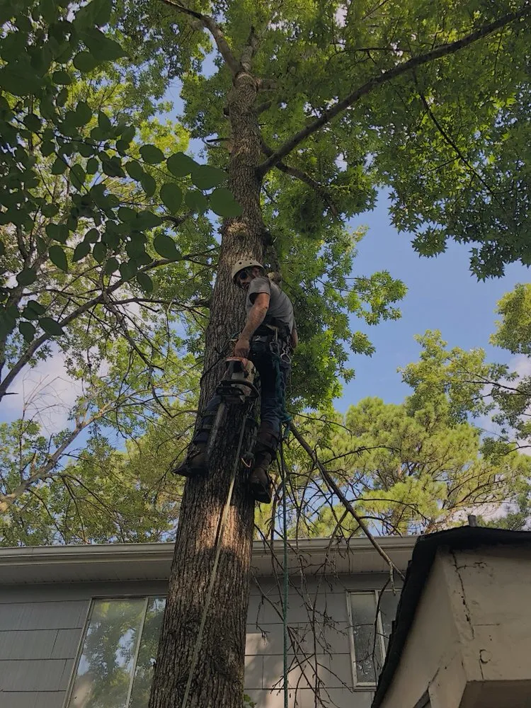 Professional lawn mowing service experts serving Virginia Beach, VA - Oak and Iron Tree