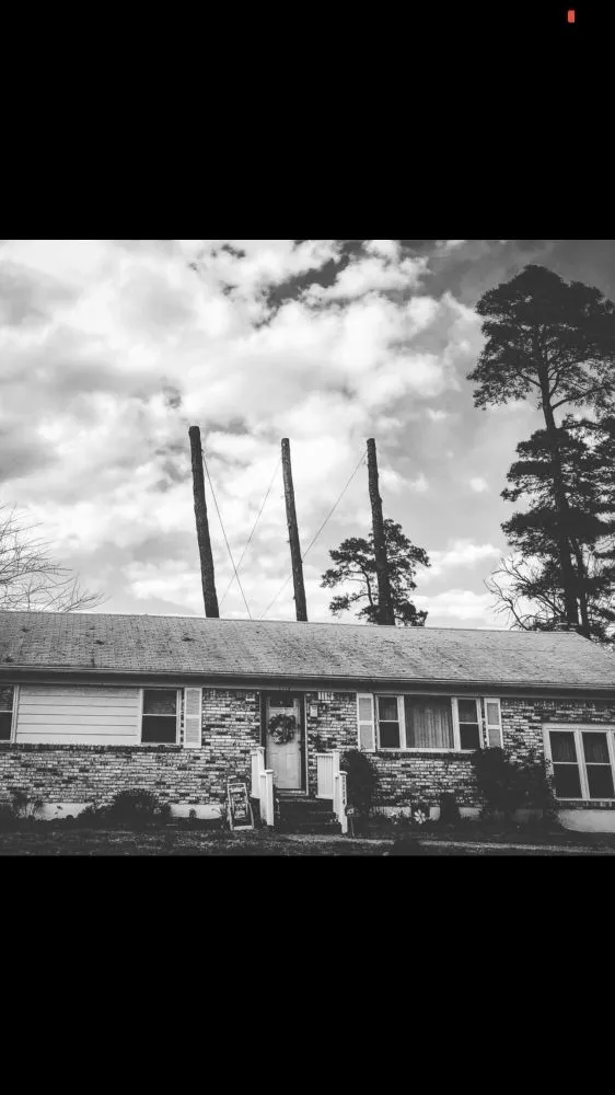 Custom landscape design for year-round maintenance across Virginia Beach, VA - Oak and Iron Tree