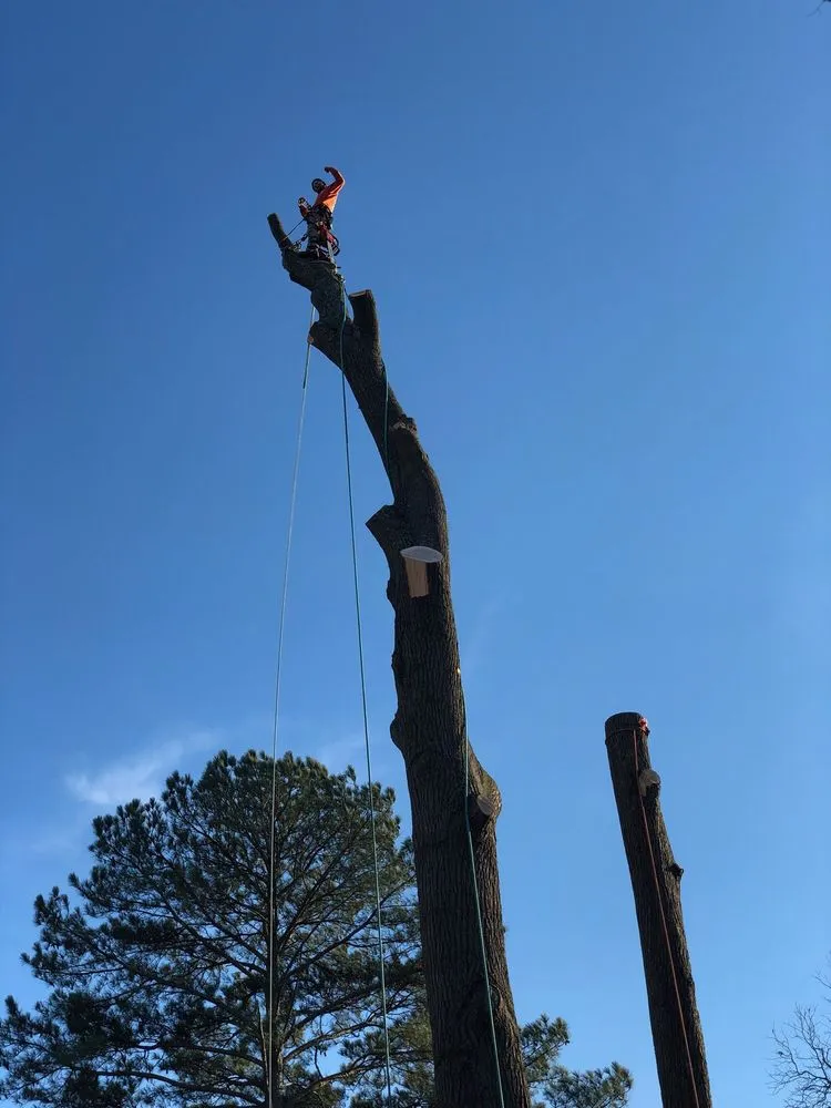 Expert outdoor landscaping near you across Virginia Beach, VA - Oak and Iron Tree