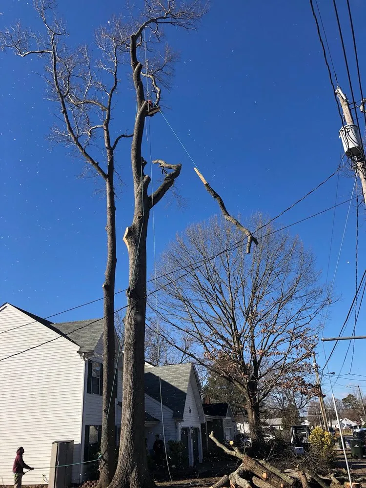 Expert lawn mowing service with custom design in Virginia Beach, VA by Oak and Iron Tree