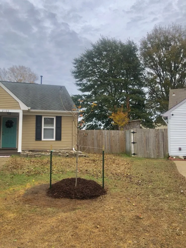 Affordable landscaping services for outdoor upgrades across Virginia Beach, VA - Oak and Iron Tree