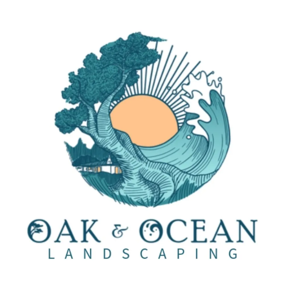 Expert yard cleanup service in Carlsbad, CA - Oak and Ocean Landscaping