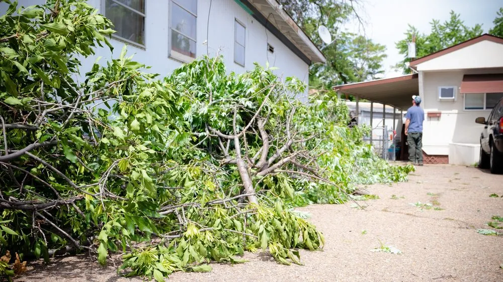 Professional lawn mowing service for year-round maintenance in Loveland, CO by Oak Arbor Care