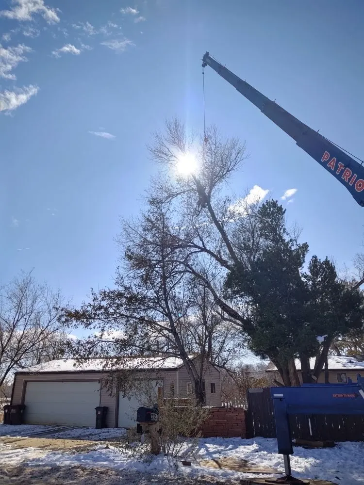 Affordable lawn mowing service with custom design across Loveland, CO - Oak Arbor Care