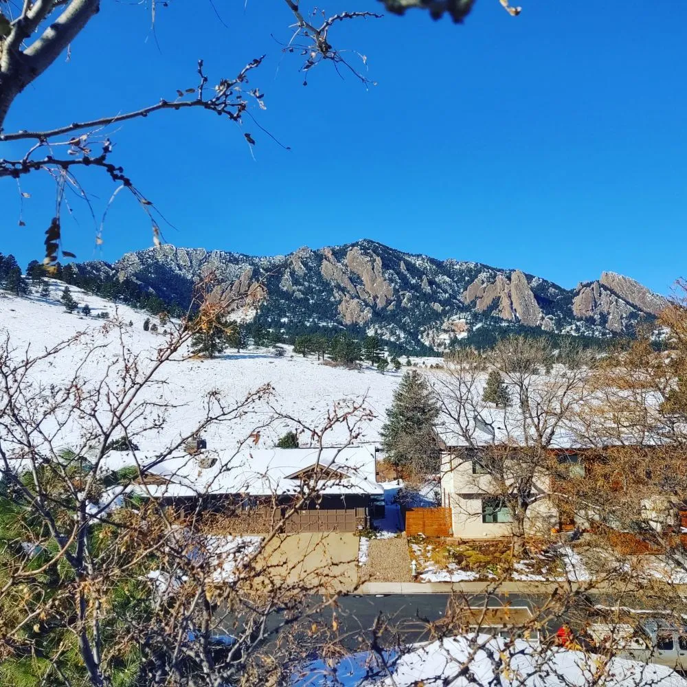 Custom garden landscaping for year-round maintenance in Loveland, CO by Oak Arbor Care