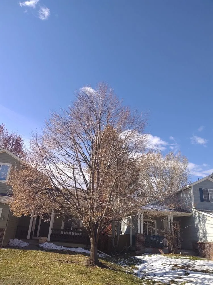 Expert garden landscaping experts serving Loveland, CO - Oak Arbor Care