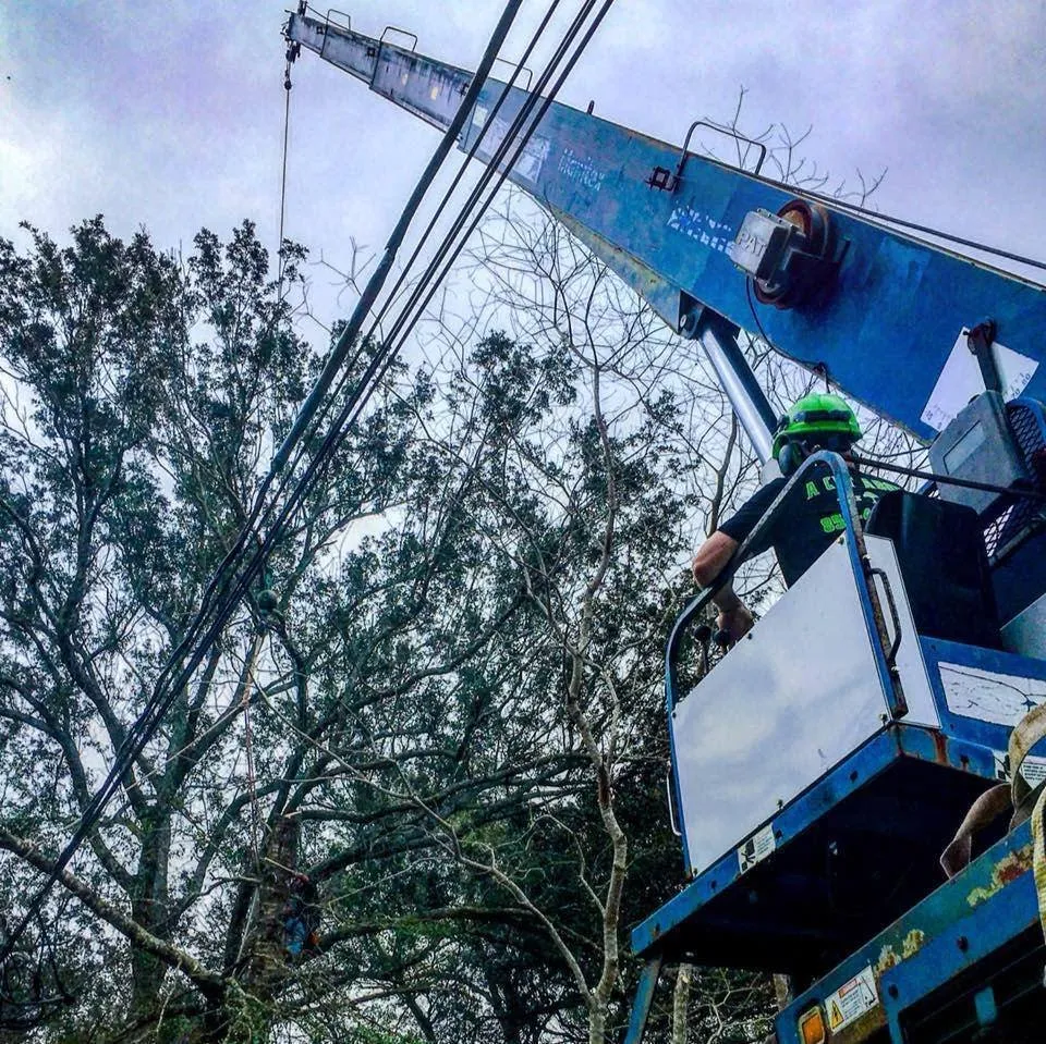 Professional lawn care service in Loveland, CO - Oak Arbor Care