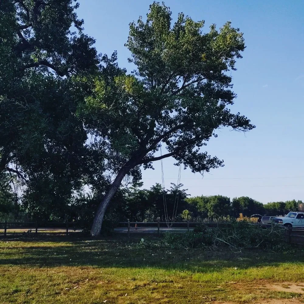 Top-rated lawn mowing service for year-round maintenance across Loveland, CO - Oak Arbor Care