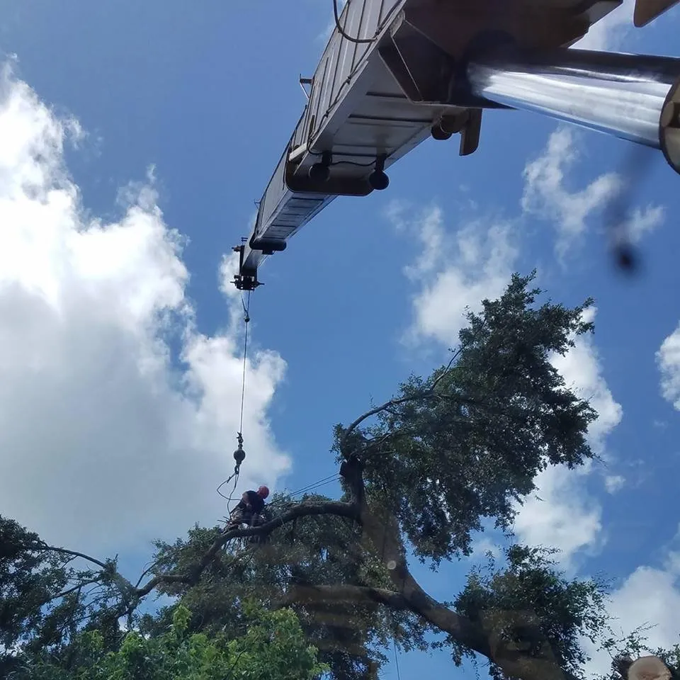 Reliable lawn care service with custom design across Loveland, CO - Oak Arbor Care