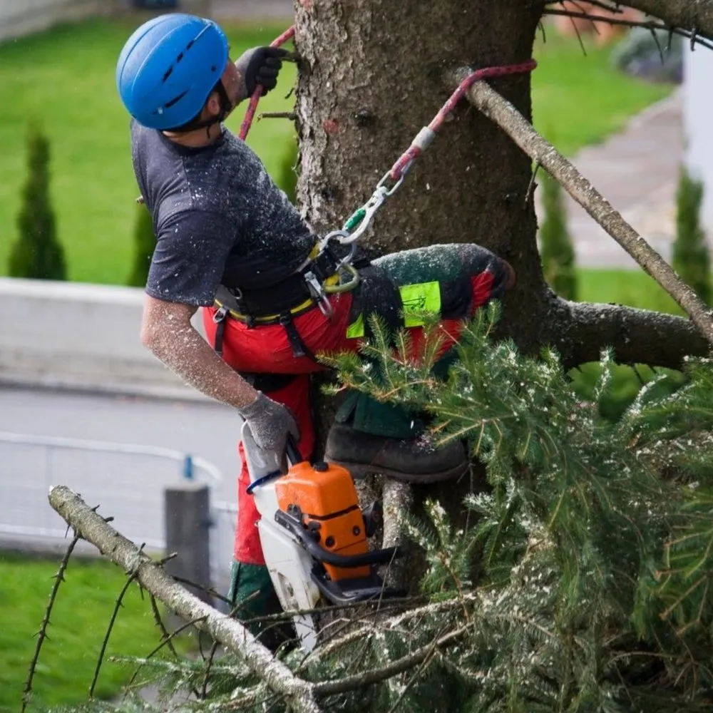 Professional landscaping services for homes in Loveland, CO by Oak Arbor Care