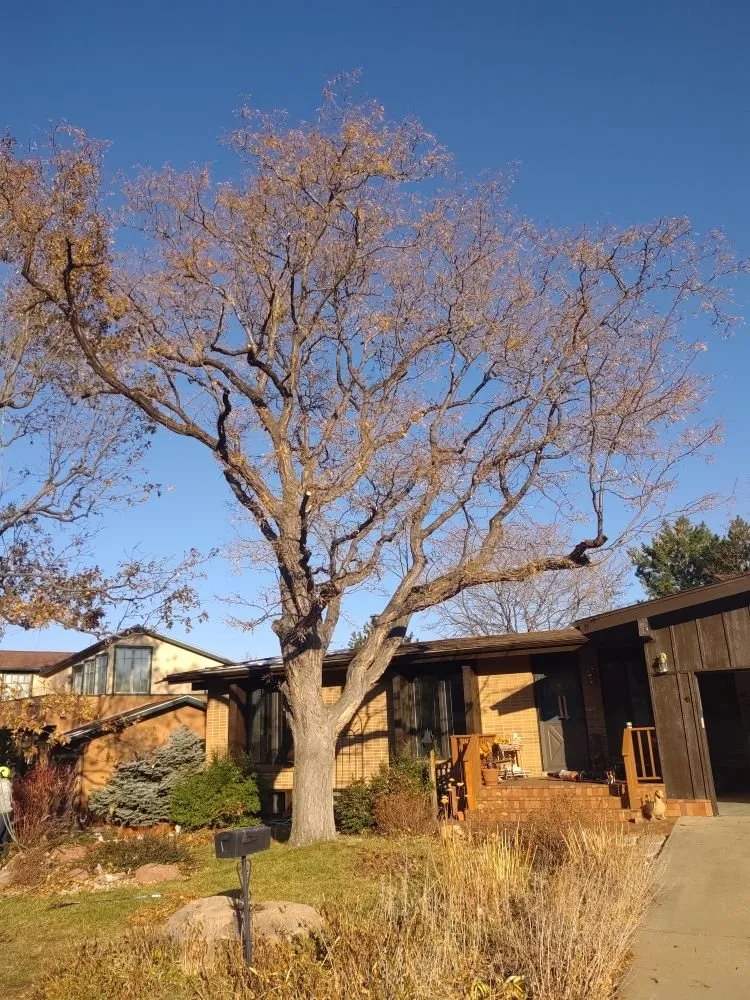 Local garden landscaping in Loveland, CO - Oak Arbor Care