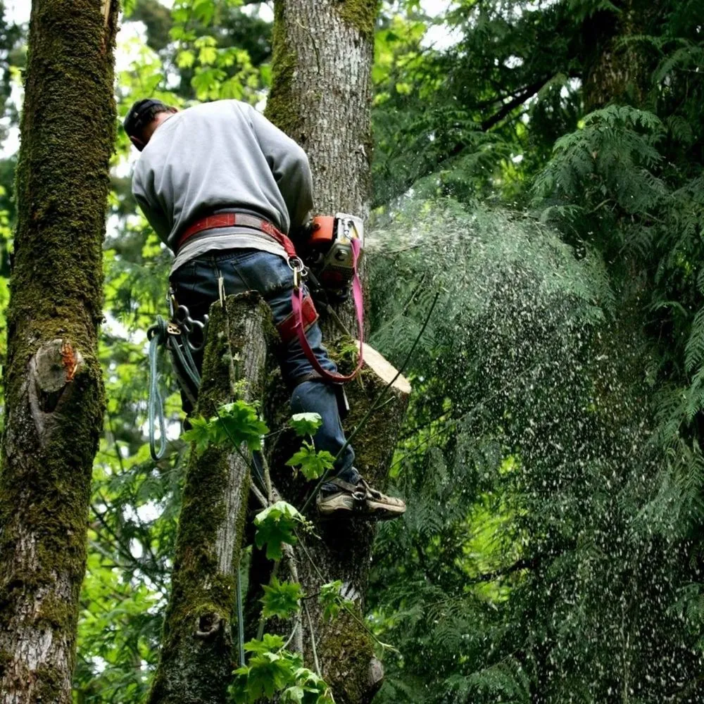 Reliable outdoor landscaping near you across Loveland, CO - Oak Arbor Care