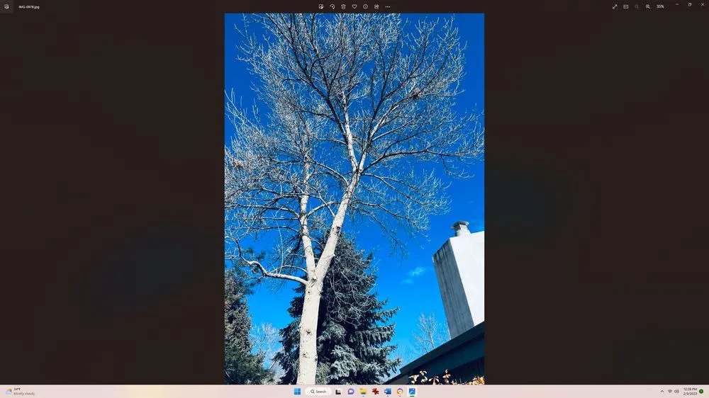 Professional landscape installation in Loveland, CO by Oak Arbor Care