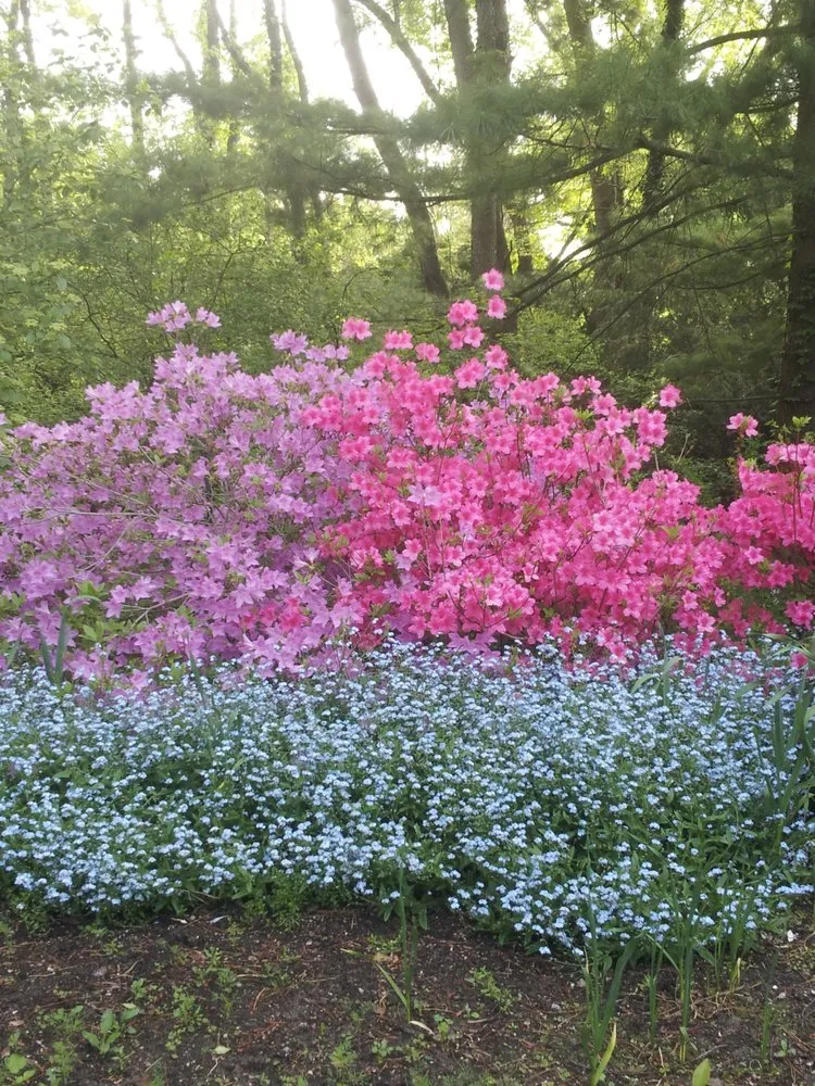 Professional lawn care service for outdoor upgrades across Ann Arbor, MI - Oak Arbor Company