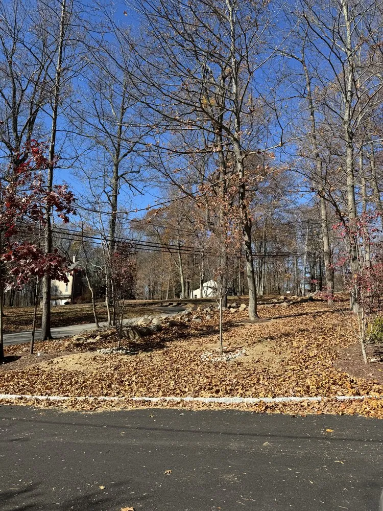 Local yard cleanup service experts serving Bridgewater, NJ - Oak C Lawn & Landscape